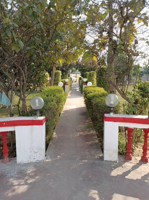 הוילה גורגאון Achal Farm जंगल में मंगल מראה חיצוני תמונה