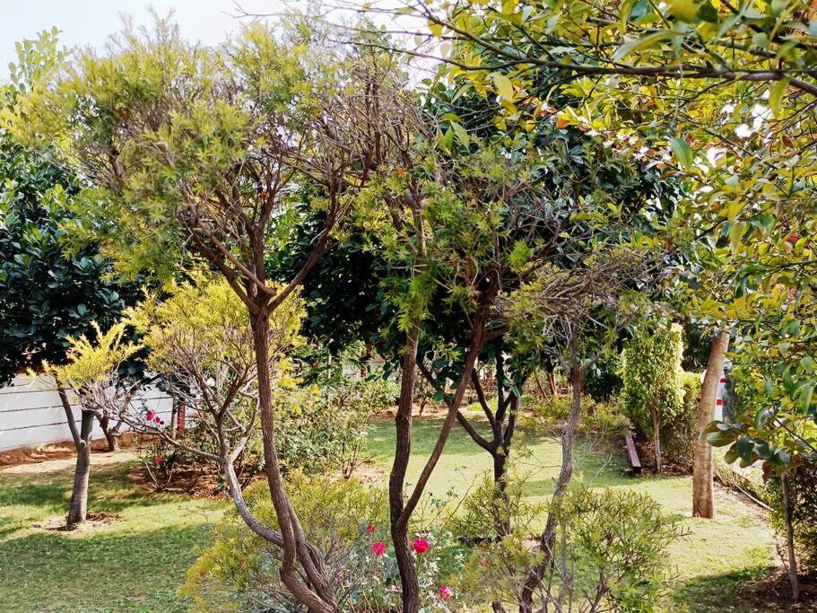 הוילה גורגאון Achal Farm जंगल में मंगल מראה חיצוני תמונה